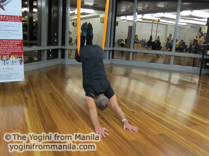 AntiGravity Yoga Downward Dog